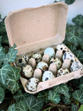 The Fancy Little Eggs - 1 dozen
